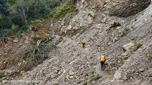 114.11.28-29 雙龍林道~巒安堂~西巒大山2954850