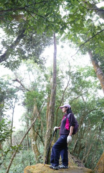 仙山登山步道503217