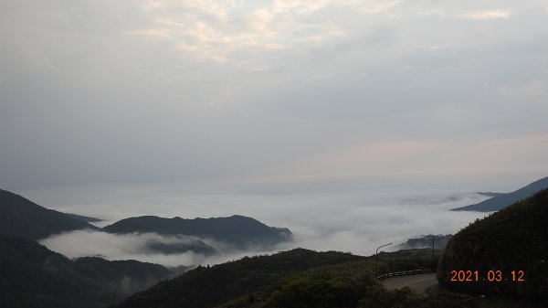 3/12&17陽明山追雲趣再見雲瀑&雲海1302442