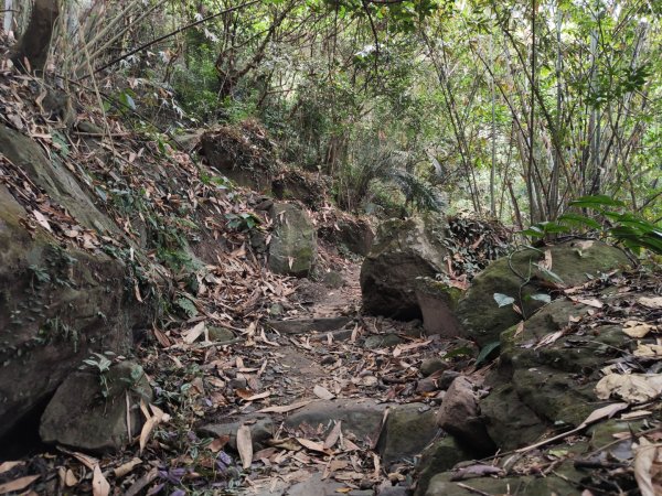 2023.12.23 崁頭山2833300