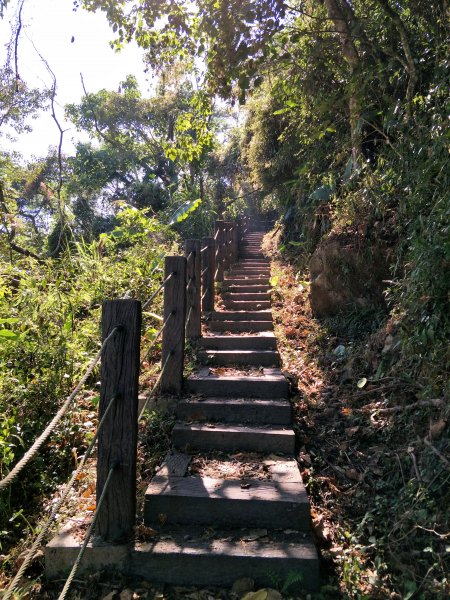 2018 11 22 挑筍古道(大尖山、後棟仔山步道)463770