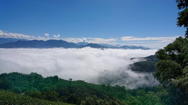 20201108雲嘉五連峰1625515