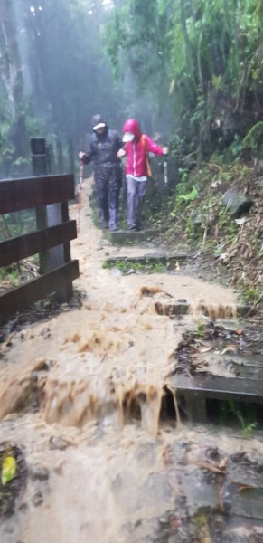 難得的登山體驗宛如明天過後441185