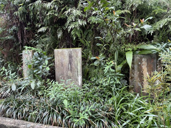 [微笑山線_第四段] 2026_0321 天上山系_天上山3020979