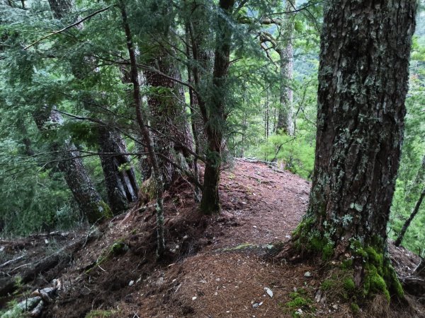 北一段(05/14)南湖南峰 2025_0906~132886485