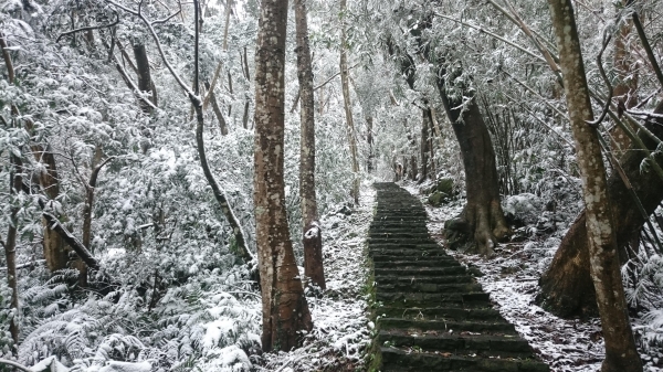 大旗棟古道踩雪行29889