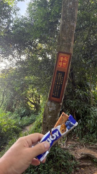 颱風假3084895