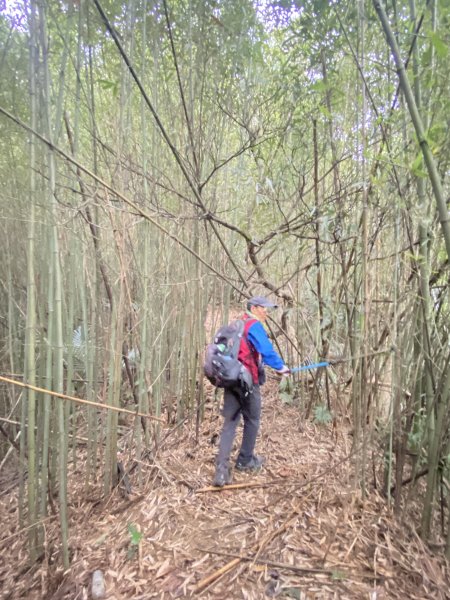 三義銅鑼基石巡禮--伯公龍.大坪凸.模麟坑山.鯉魚石下山.茄苳坑山.老雞隆山.社寮坪山2410065