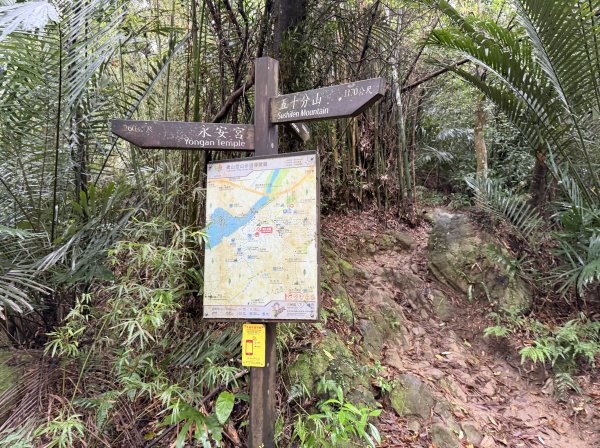 [微笑山線_第三段] 2026_0328 鳶山山系_鳶山彩壁3025691