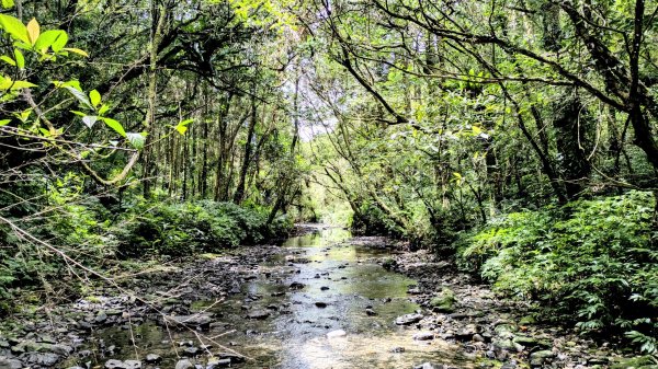 坪溪古道,石空古道2873472