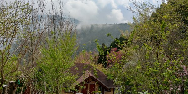 野馬瞰山1053829