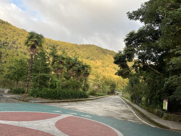 [嘉遊好步道．來嘉走走-04/10] 2024_1011 阿里山頂湖步道2624787