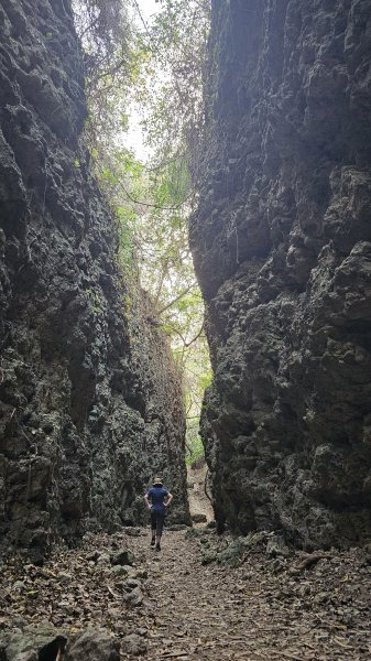 【即使簡單也要心存敬畏！】小百岳#074-大崗山、盤龍峽谷一線天O繞。3025836