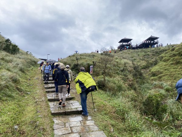 2025草嶺古道芒花季｜雨天版完整攻略 × 七顆寶石路線實走》