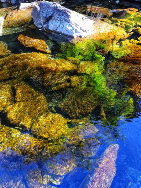 🐟合歡溪步道上 ⛰️合歡西峰✨1813473