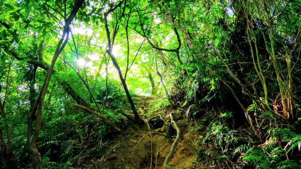 筆架山越嶺2918228