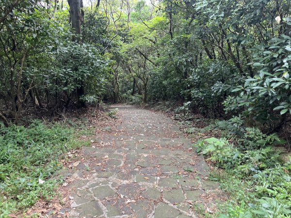 [皮皮獅探險隊-02/10] 2025_0706 漢卿步道、秀才步道2830928