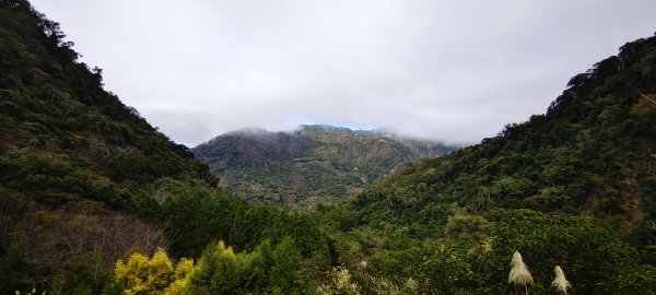 2025/12/25_冬瓜山神木步道2971976