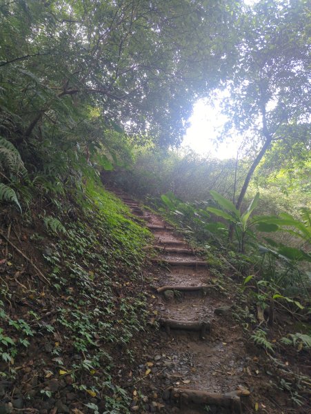 2026.01.25－微笑山線：【天上山系】烘爐地土地公段2994593