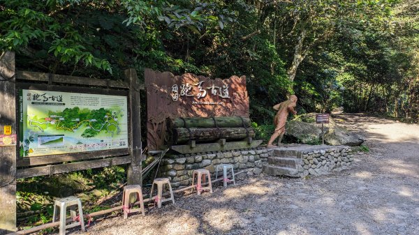 清修宮,鵲子山,跑馬古道2394390