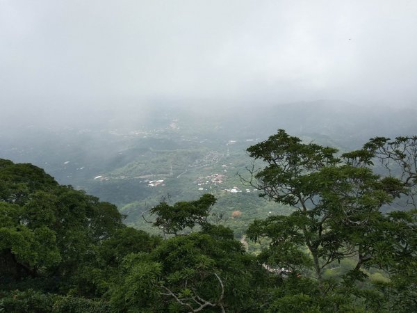 崁頭山步道1007151