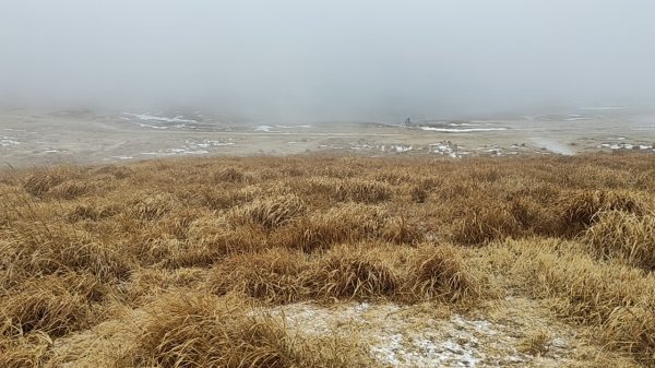 日本九州：熊本阿蘇火山草千里2997379