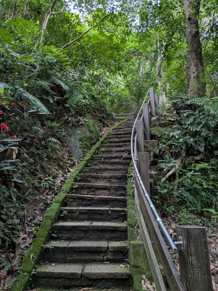 2025-05-17 三進三出九五峰 (象山、中華科大、麗山橋)2796893