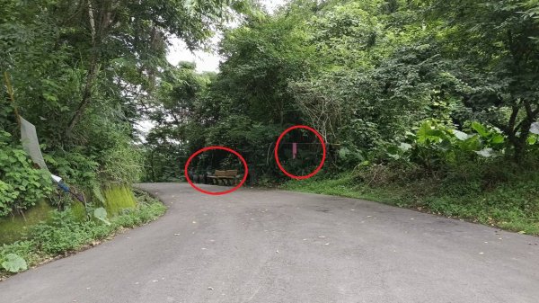 20250607 新竹竹東三山(樹杞林山 - 新具庄山 - 員崠子山)  O型2808873