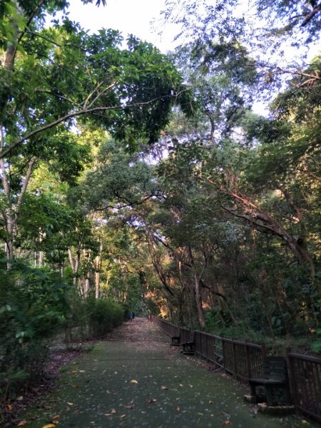 赤水崎公園+田中森林登山步道1428347