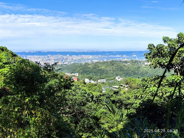 翠山步道、大崙頭尾山親山步道【臺北健走趣】2874304