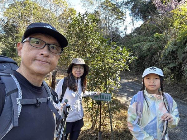 20260214 小百岳藤枝山3002988