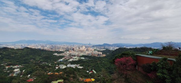 【小百岳16】三訪南勢角山+貓與土地公的故事2709739