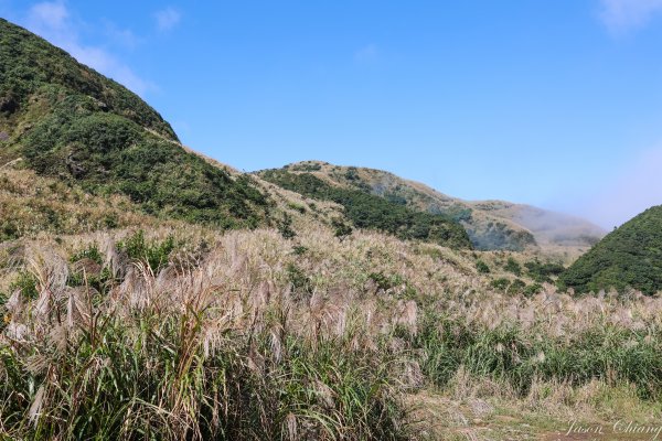 [新北]金字碑古道、燦光寮古道1909128