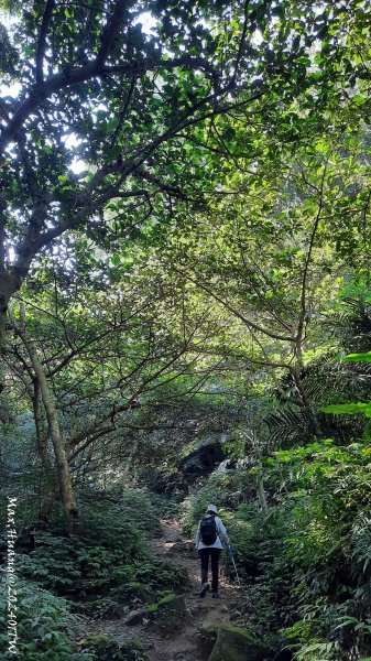 《桃園》一等郊山｜石門山登山步道O繞202401062397564