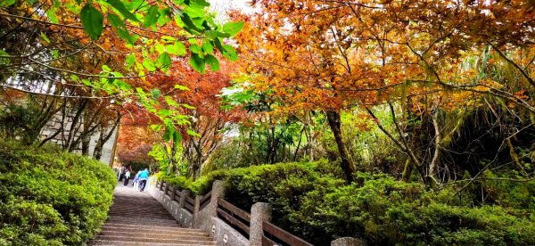 太平山森林遊樂區，檜木原始林步道，九寮溪自然步道，戈霸瀑布，開眼崙登山步道1936699