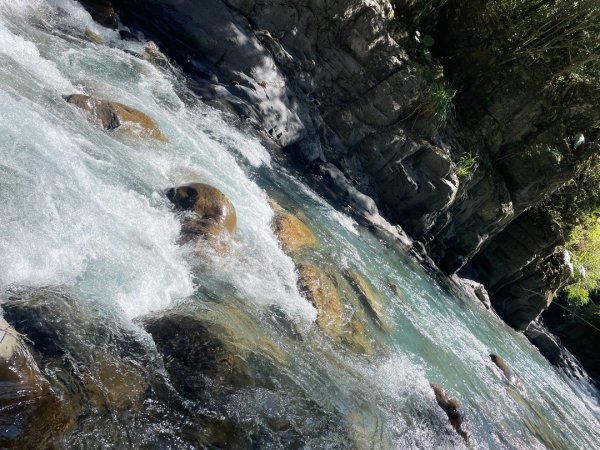 烏來福巴越嶺-札孔溪2911536