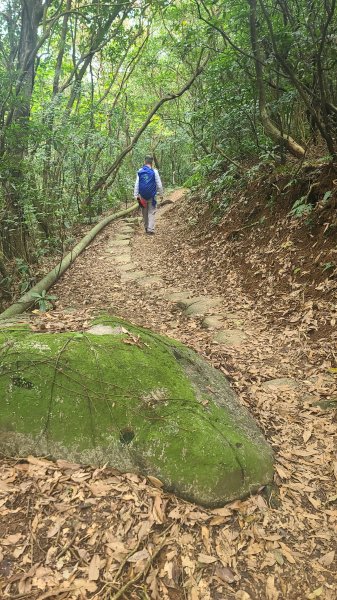 2025-01232淡蘭古道北二段(燦光寮古道到澳底)2696687