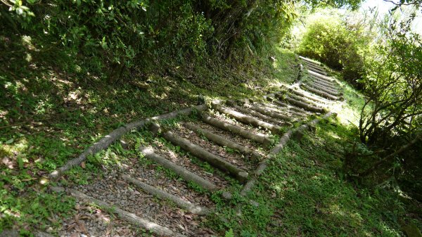 獅公髻尾山登山健行趣（郊山）1577837