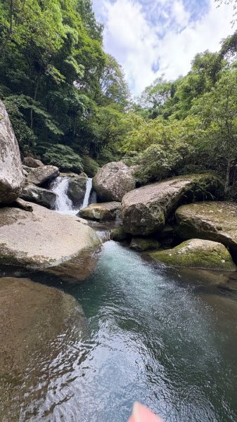 戲水（鴛鴦2786723