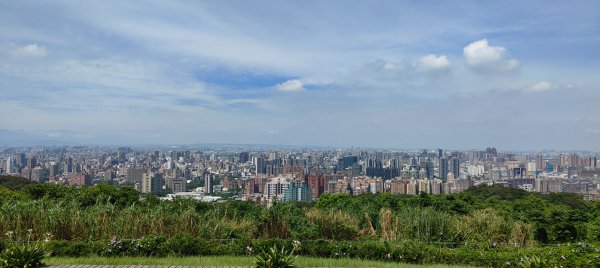 虎頭山環保公園3094265