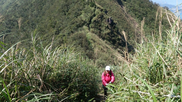 觀山望海，黃金稜線之首30790