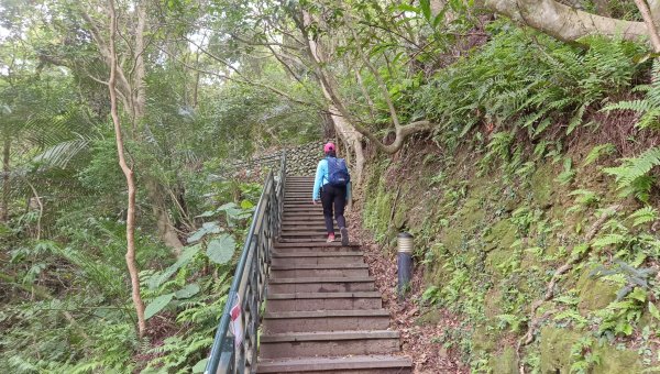 (姨婆趴趴走)第五十二集:新北新店攀登和美山及灣潭山2761088