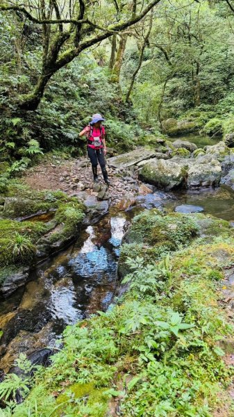 烘爐地山、桶後溪源頭O走2593142