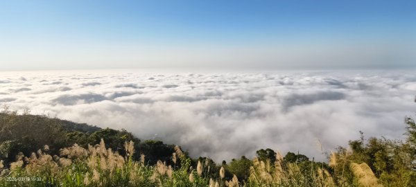 #觀音山 #雲海 #夕陽 #天空之城 #大赤鼯鼠（飛鼠） 2/132999423