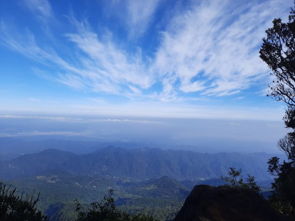 加里山 杜鵑嶺 鐵道 大O型 大坪上1053383