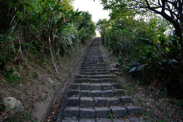 新北 瑞芳 基隆山主峰、東峰、西峰2288331