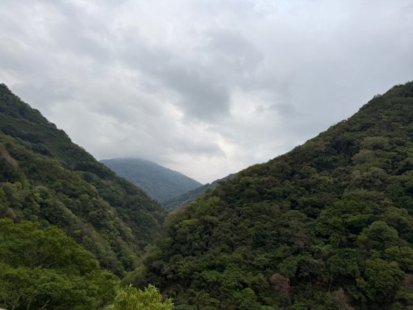 1150403塔曼山3035725