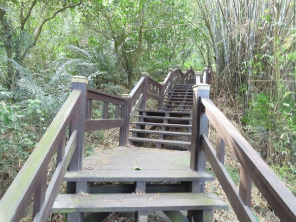 泰安登山步道‧隘勇古道‧巡圳道O形輕鬆走2007511