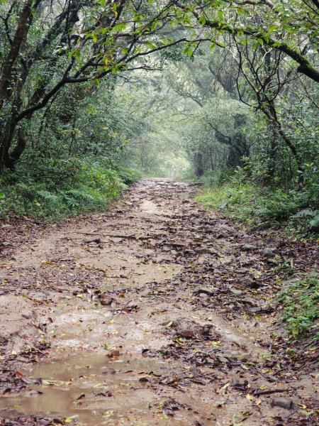 2026年臺北大縱走第一段：關渡至二子坪3010863