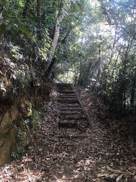 日月潭水社大山409262